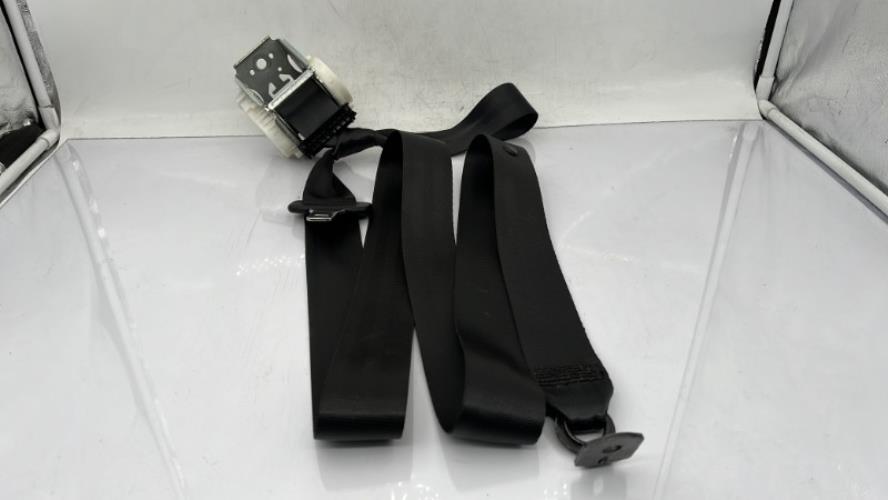Ceinture arriere gauche FORD FOCUS 3 PHASE 1 Diesel