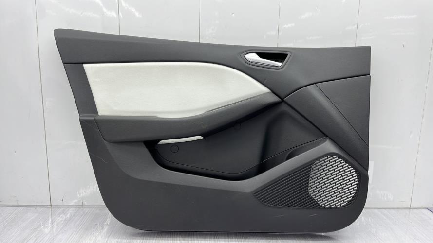 Panneau de porte avant gauche RENAULT CLIO 5 PHASE 1 Diesel/Hybride