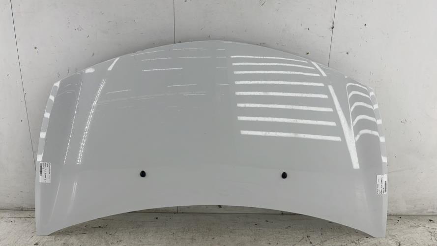 Capot RENAULT CLIO 3 PHASE 2 Diesel