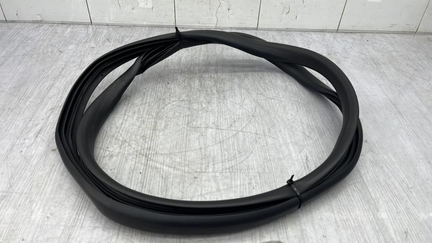 Joint de porte arriere droite DACIA SANDERO 3