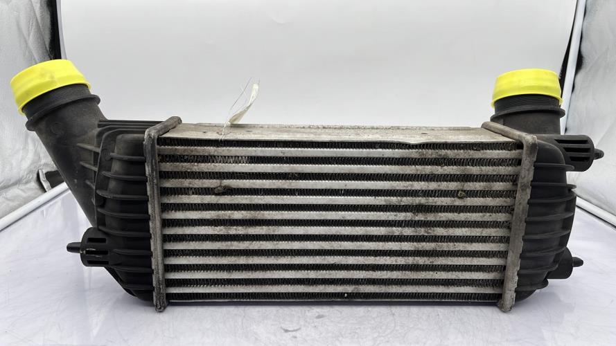 Echangeur air (Intercooler) CITROEN JUMPY 2 Diesel