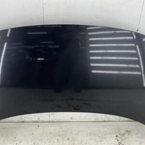 Capot RENAULT SCENIC 3 PHASE 1 Diesel