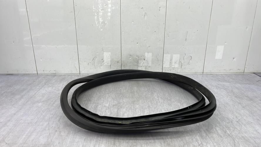 Joint de porte arriere droite RENAULT SCENIC 4 Diesel