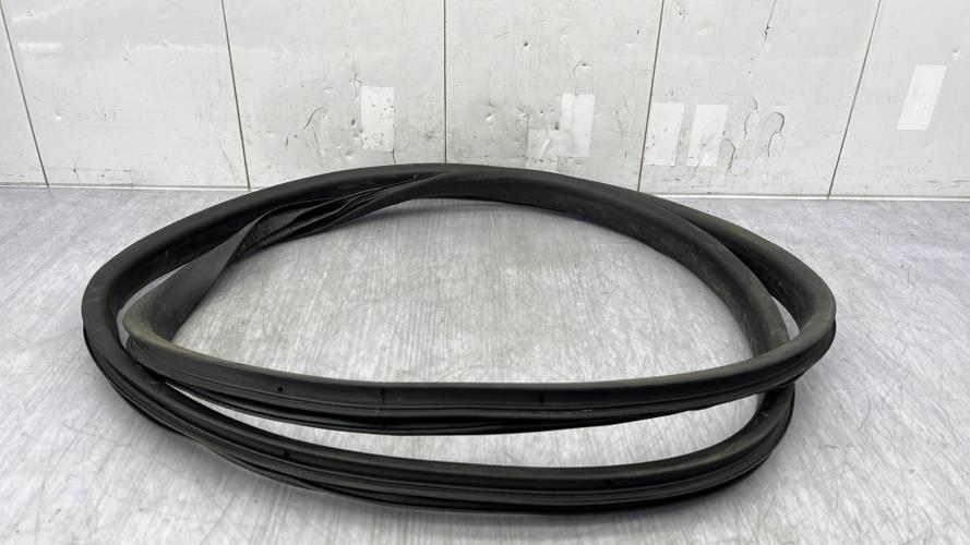 Joint de porte arriere gauche RENAULT SCENIC 4 Diesel