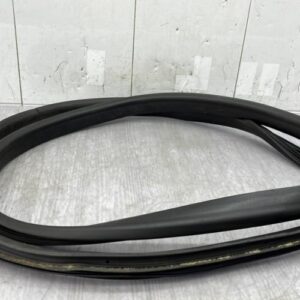 Joint de porte avant droite RENAULT SCENIC 4 Diesel