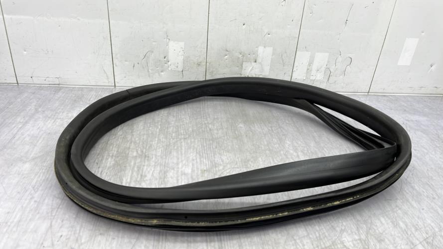 Joint de porte avant droite RENAULT SCENIC 4 Diesel