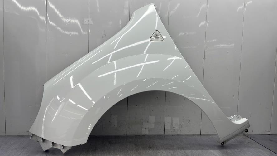 Aile avant gauche RENAULT KANGOO 2 PHASE 1 Essence