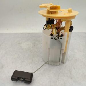 Pompe immergee RENAULT SCENIC 4 Diesel