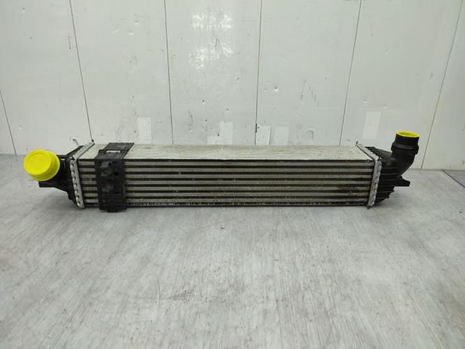 Echangeur air (Intercooler) RENAULT LAGUNA 3 PHASE 2 BREAK Diesel