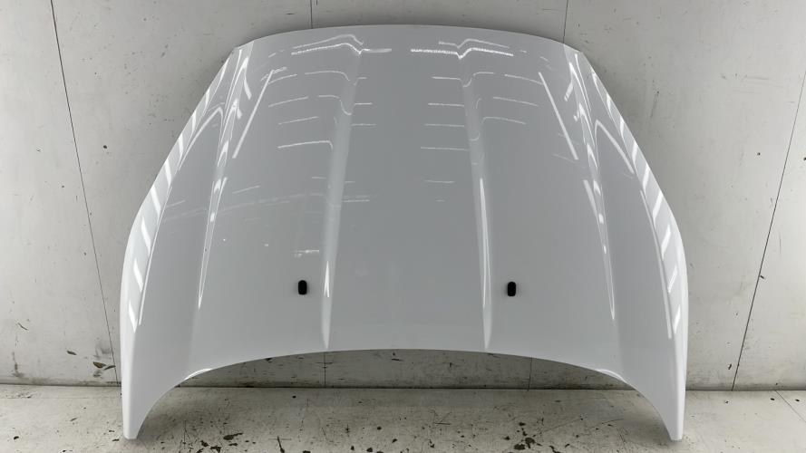 Capot FORD FIESTA 6 PHASE 2 Essence