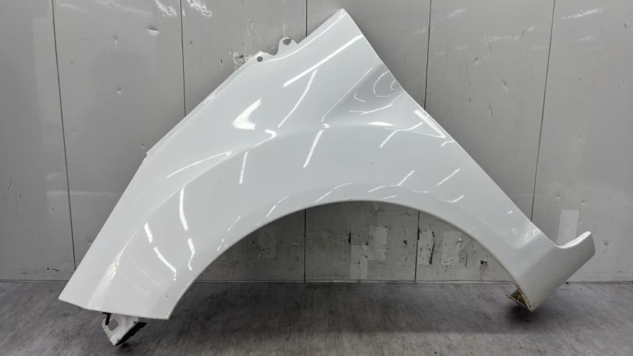 Aile avant gauche FORD FIESTA 6 PHASE 2 Essence