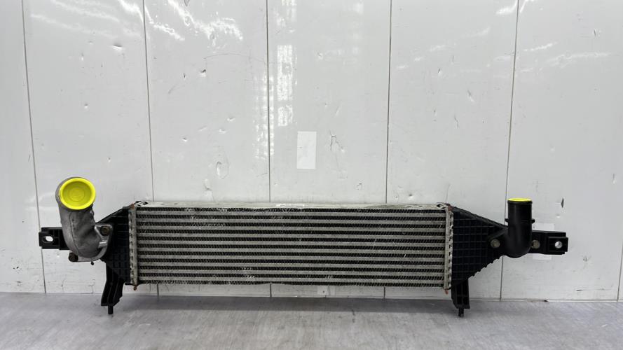 Echangeur air (Intercooler) NISSAN QASHQAI 1 PHASE 2 Diesel