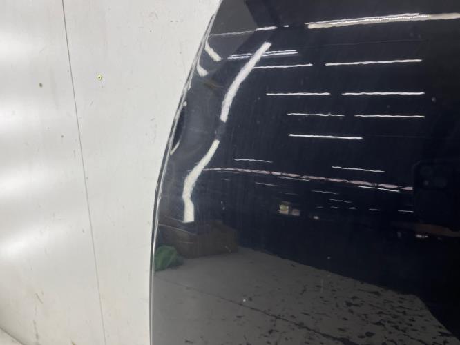 Porte arriere gauche CITROEN C3 PICASSO PHASE 1 Diesel