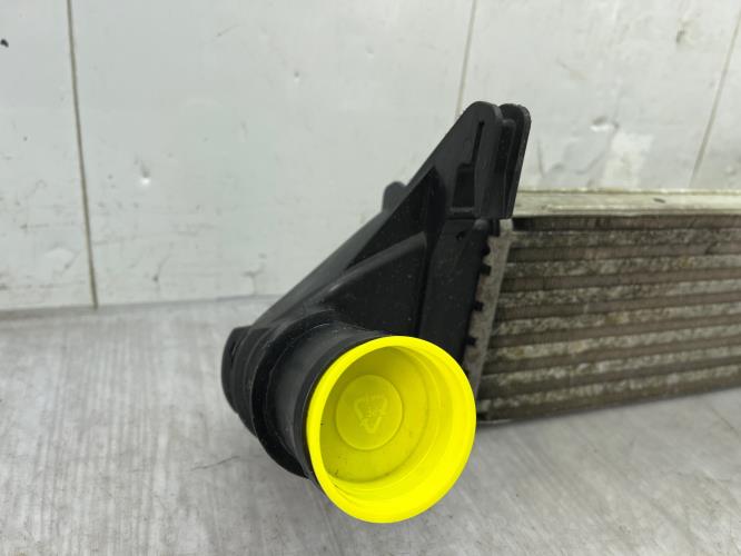 Echangeur air (Intercooler) DACIA SANDERO 1 Diesel