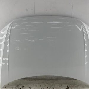 Capot VOLKSWAGEN TIGUAN 2 PHASE 1 Diesel