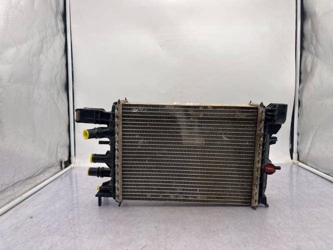 Radiateur eau DACIA DUSTER 2 SOCIETE PHASE 1 Diesel