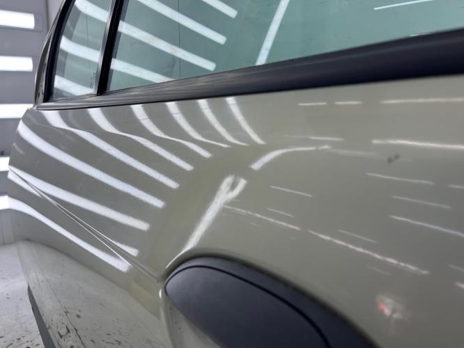 Porte avant gauche RENAULT SCENIC 1 PHASE 1 Essence