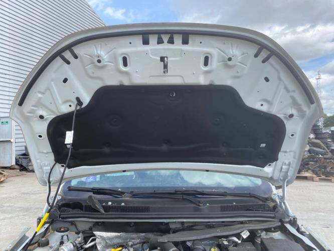 Capot DACIA SANDERO 3 Essence