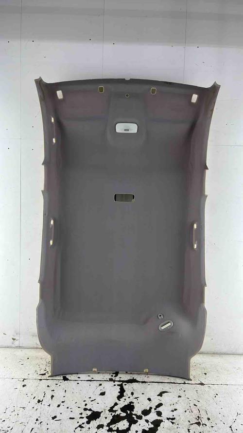 Ciel de toit RENAULT SCENIC 3 PHASE 3 Diesel