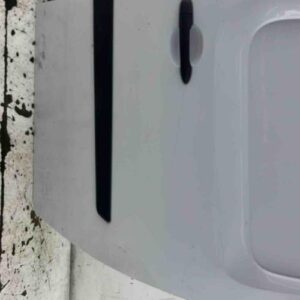 Porte laterale gauche RENAULT KANGOO 2 PHASE 2 Diesel