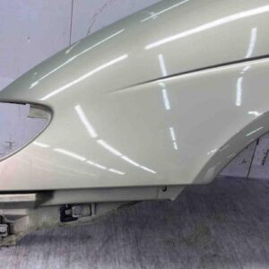 Aile avant gauche RENAULT SCENIC 1 PHASE 1 Essence