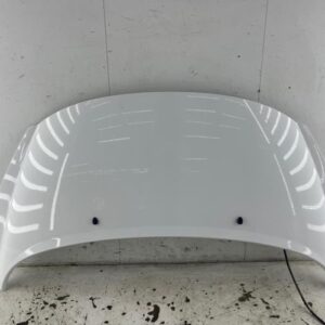 Capot PEUGEOT 207 PHASE 1 Diesel