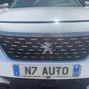 Calandre PEUGEOT 5008 2 PHASE 1 Diesel