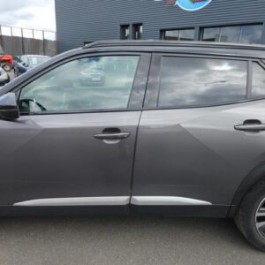 Porte arriere gauche PEUGEOT 2008 2 PHASE 1 Essence