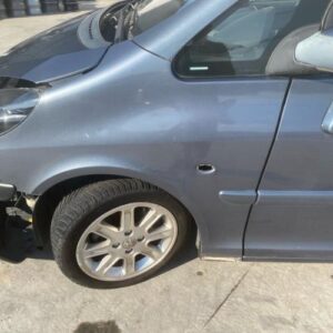 Aile avant gauche PEUGEOT 1007 Diesel