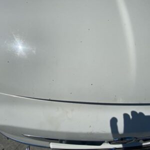 Capot FIAT 500 2 PHASE 1 Diesel