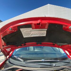 Capot PEUGEOT 207 PHASE 2 Diesel