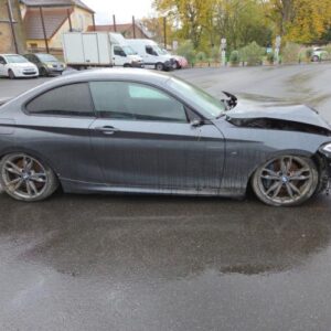 Custode arriere gauche BMW SERIE 2 F22 COUPE PHASE 1 Essence