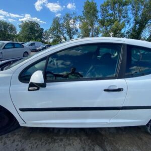 Porte avant gauche PEUGEOT 207 PHASE 1 Diesel