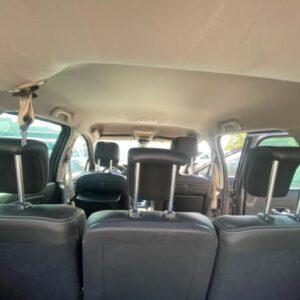 Ciel de toit RENAULT SCENIC 3 PHASE 3 Diesel