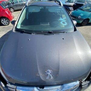 Pare brise PEUGEOT 2008 1 PHASE 1 Essence