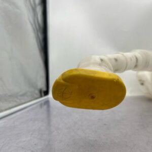 Vase de lave glace RENAULT SCENIC 2 PHASE 2 Diesel
