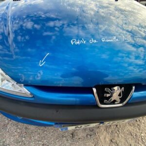 Capot PEUGEOT 206 PHASE 2 Diesel
