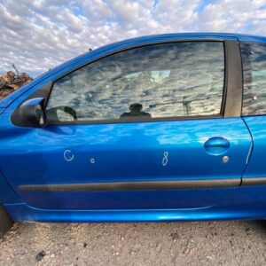 Porte avant gauche PEUGEOT 206 PHASE 2 Diesel