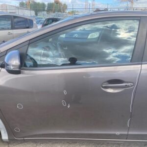 Porte avant gauche HONDA CIVIC 9 PHASE 1 Essence
