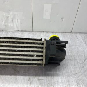 Echangeur air (Intercooler) RENAULT GRAND SCENIC 3 PHASE 1 Diesel